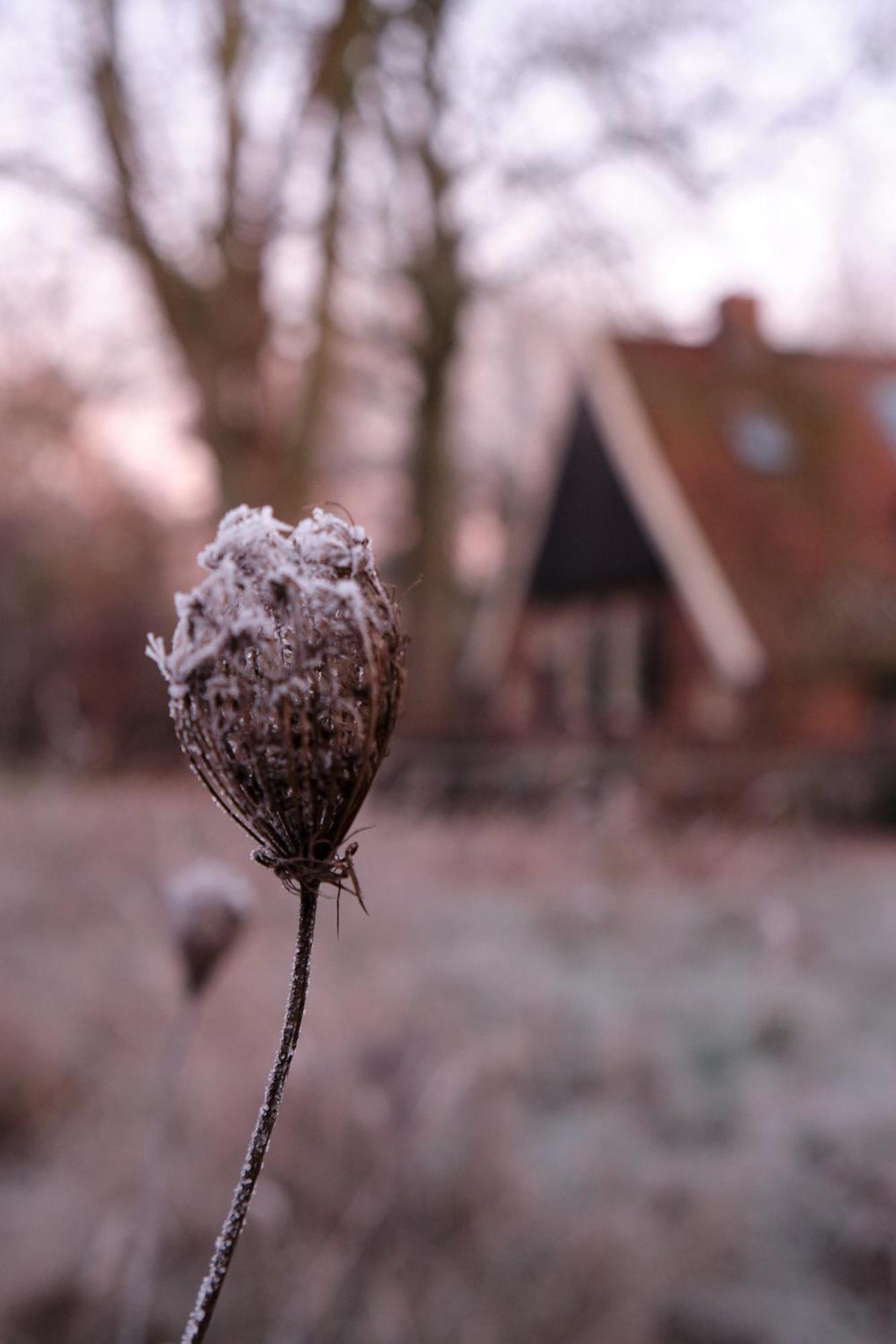 Loosan Lodges Gastenhuis Reutum エクステリア 写真